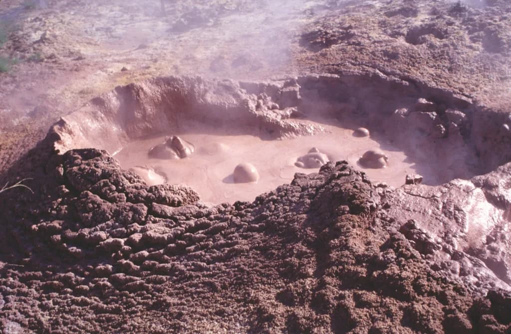 The Coso Volcanic Field