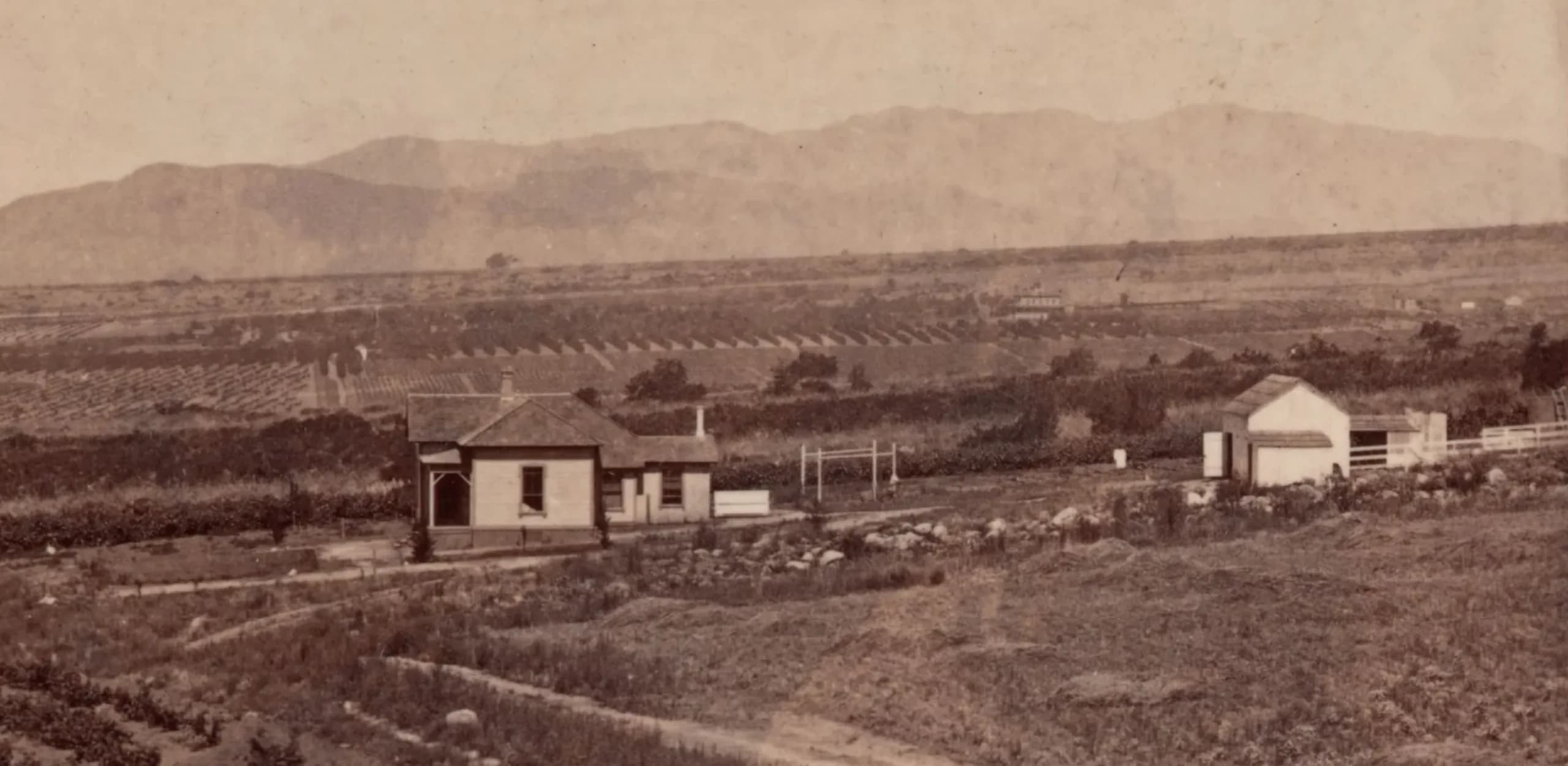 Sphinx Ranch