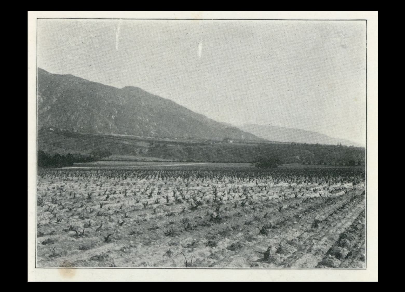 Neighbors to your West - the Grogan Tract and Albert Brigden
