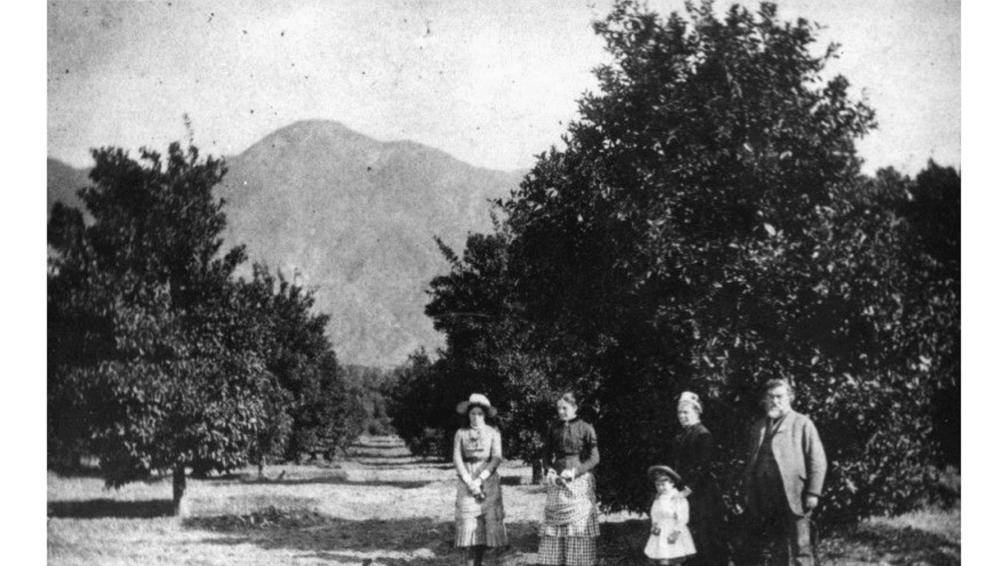 Sphinx Ranch Walking Tour